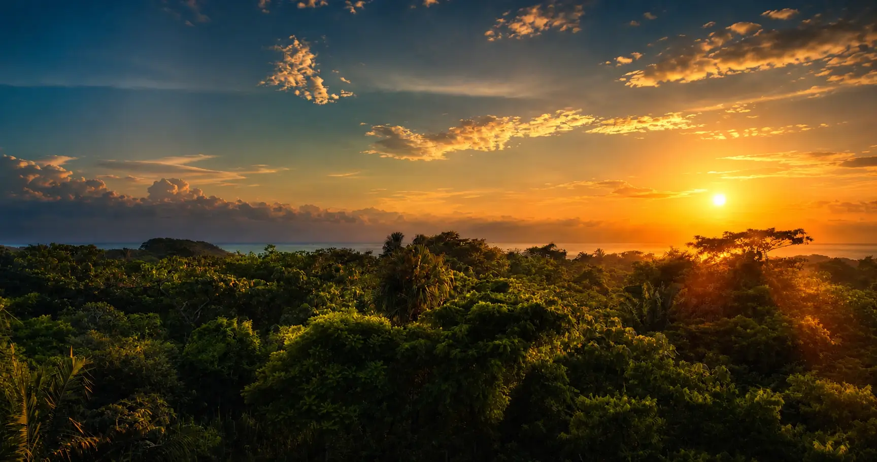 Jungle sunrise at Casa del Bosque Tayrona